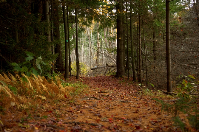 Scenic Photos